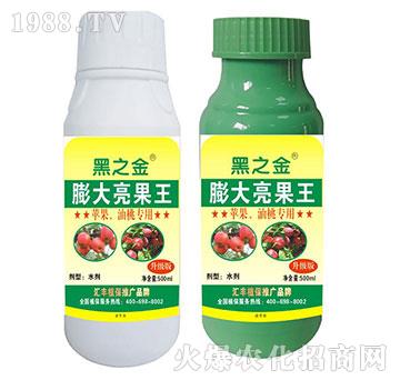 �O�������Ҍ������������-�R�Sֲ��