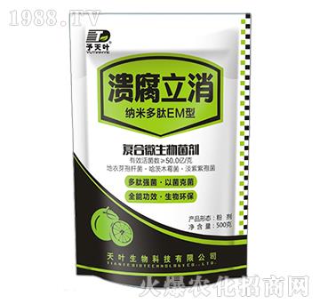 ��(f��)��΢�������-��������-���~����