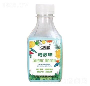 �Ǵ���-������