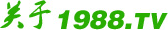 關(guān)于1988.TV