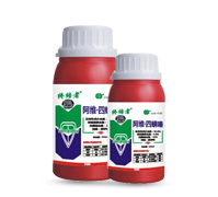 ���S�����-�K�Y(ji��)��