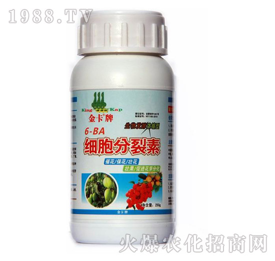 ��(x��)��������-��-� �����